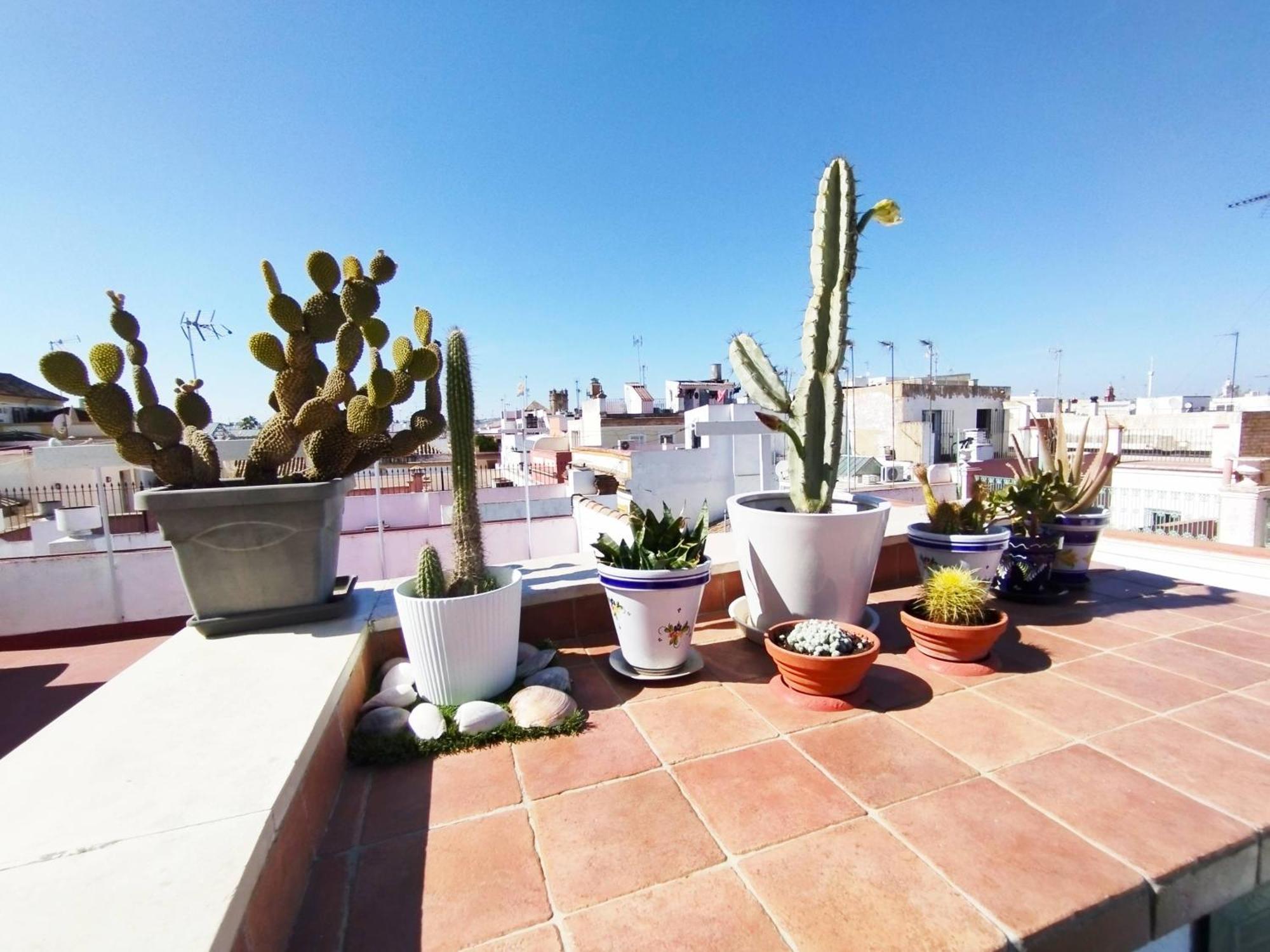 Casa Gavidia - Duplex With Panoramic View Apartment Sevilla Bagian luar foto